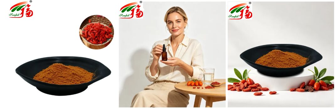 Compléments alimentaires chinois naturels Anthocyanine 1-25 % Polysaccharides 10 %-50 % Extrait de Lycium Barbarum Extrait de Goji/Extrait de Baie de Goji