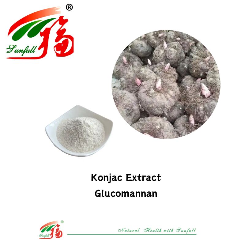 Suppléments alimentaires naturels de haute qualité Extrait de Konjca Glucomannane 85% Extrait de haricot blanc poudre pour le soutien de la perte de poids