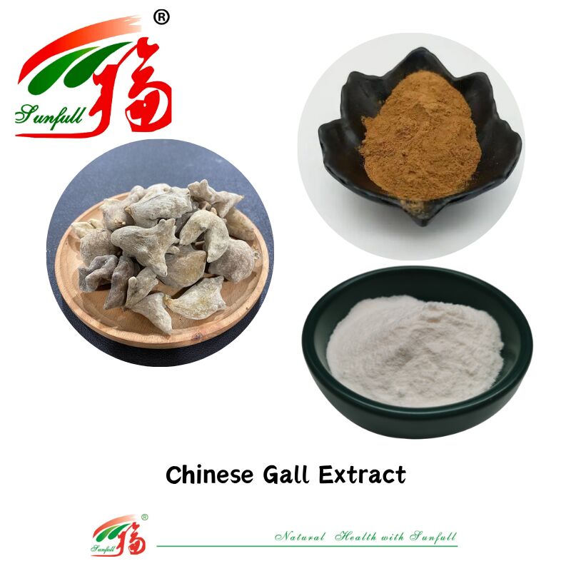ISO 22000/Kosher/Halal Produit médical chinois traditionnel directement fourni naturel 40%-90% Acide ellagique 99% Acide gallique en poudre Extrait de bile chinois