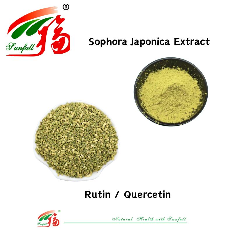 Conforme aux normes européennes Santé cardiovasculaire Compléments alimentaires Quercétine 95 % Rutine NF11 95 % Extrait de Sophora Japonica