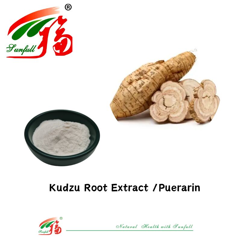 Échantillon gratuit Extrait de racine de kudzu de haute qualité Pueraria Lobata Extrait de puérarine 10% à 98% CAS 3681-99-0