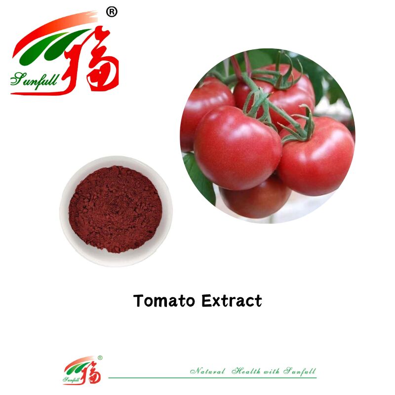 Produits alimentaires de qualité alimentaire CAS 502-65-8 Prix en gros Pigments naturels Extrait de tomate 1%-10% poudre de lycopène