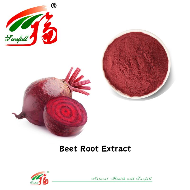 Extrait végétal 100% naturel Pigment naturel Organique Jus de racine de betterave fraîche séchée Extrait de supplément de betanine Utilisé dans les aliments et les boissons Extrait de racine de betterave