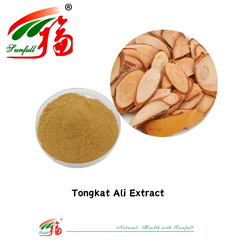 Hunan Sunfull Suppléments nutritionnels de haute qualité Ingrédients naturels pour la santé masculine Saw Palmetto/Shilajit/Ashawagandha/Epimedium/Maca//Tongkat Ali Extrait