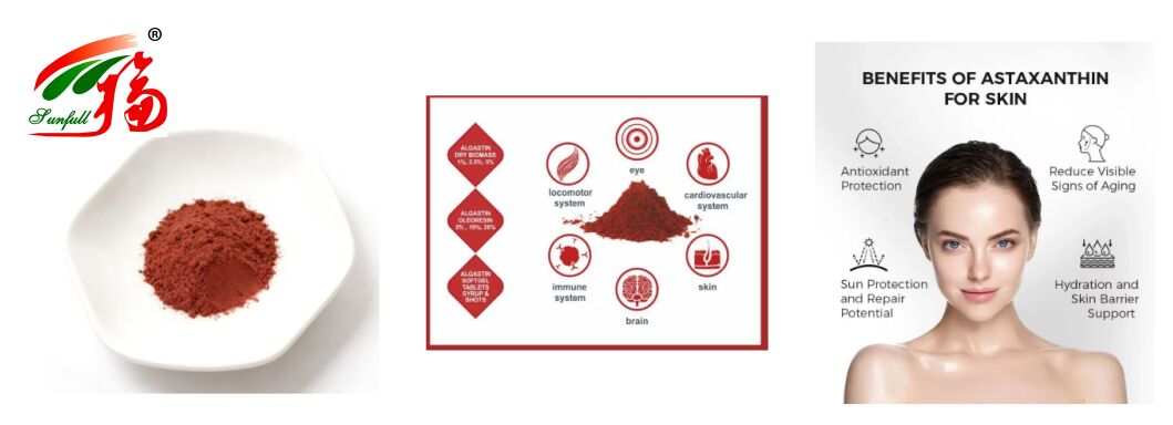 Sunfull Antioxydants de qualité alimentaire Produits de santé Haute qualité 1% à 10% Extrait d'hématotocoque pluvialis naturel/Poude d'astaxanthine