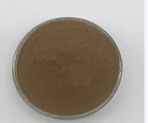 ISO/Kosher favorise la digestion Extrait de graines de cassia de qualité alimentaire 10: 1 / 20% HPLC Sennosides Extrait de feuilles de séne