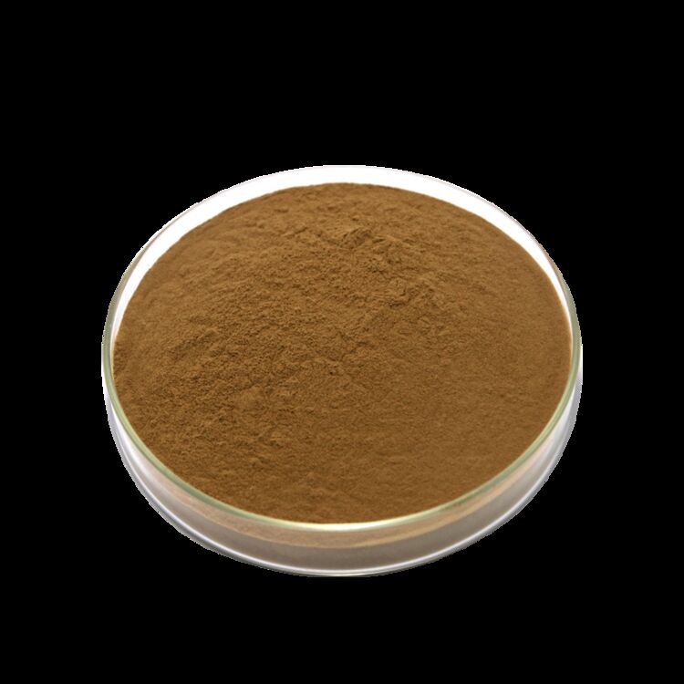 ISO/Kosher favorise la digestion Extrait de graines de cassia de qualité alimentaire 10: 1 / 20% HPLC Sennosides Extrait de feuilles de séne