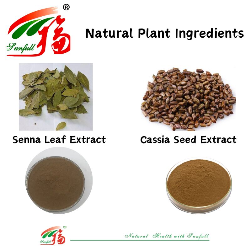 ISO/Kosher favorise la digestion Extrait de graines de cassia de qualité alimentaire 10: 1 / 20% HPLC Sennosides Extrait de feuilles de séne