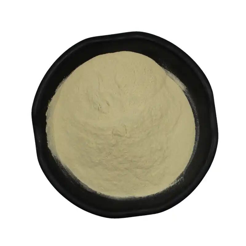 Fourniture d'usine en gros Supplément nutritionnel Perte de poids Extrait de graines de tournesol 20% à 70% Phosphatidylsérine