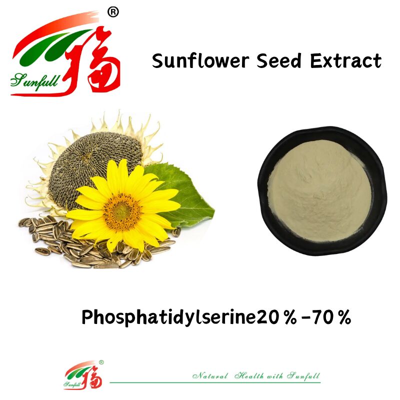 Fourniture d'usine en gros Supplément nutritionnel Perte de poids Extrait de graines de tournesol 20% à 70% Phosphatidylsérine