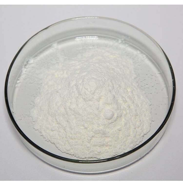 Fourniture en vrac Meilleur prix Additif naturel pour aliments pour animaux Fourniture en vrac Meilleur prix Additif naturel pour aliments pour animaux 95% Andrographis Paniculata Extrait CAS no 5508-58-7