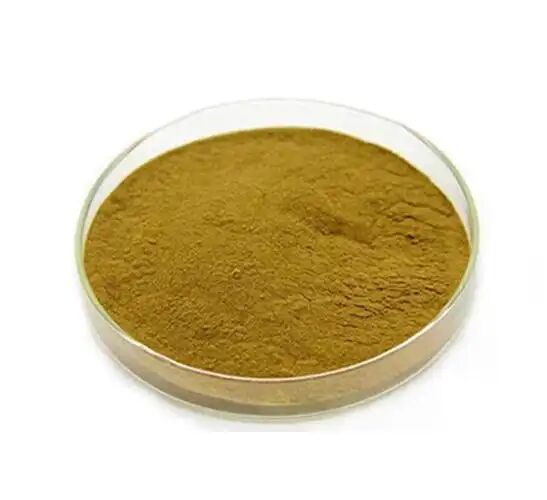 Grade d'alimentation animale / Grade alimentaire Suppléments nutritionnels Extrait d'eucommia ulmoides / Extrait de grains de café vert Acide chlorogénique 5% à 98%
