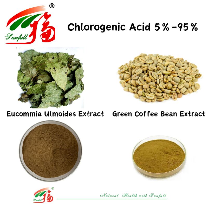 Grade d'alimentation animale / Grade alimentaire Suppléments nutritionnels Extrait d'eucommia ulmoides / Extrait de grains de café vert Acide chlorogénique 5% à 98%