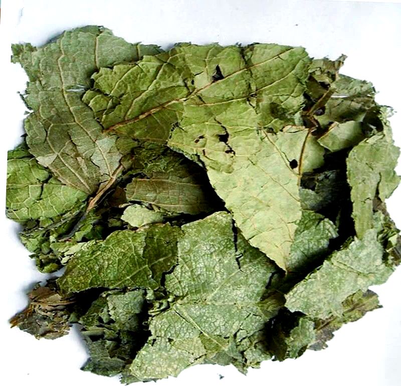 Grade d'alimentation animale / Grade alimentaire Suppléments nutritionnels Extrait d'eucommia ulmoides / Extrait de grains de café vert Acide chlorogénique 5% à 98%