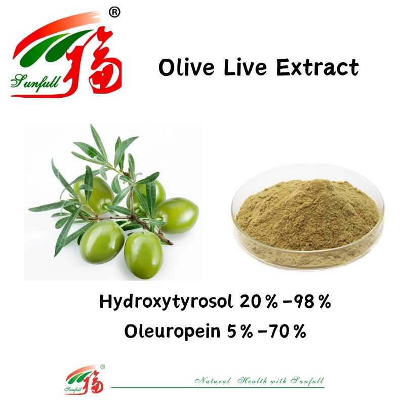 Produits naturels de qualité alimentaire pour la santé Produits d'usine 80% d'oléuropéine /5%~20% d'hydroxytyrosol Extrait de feuille d'olivier