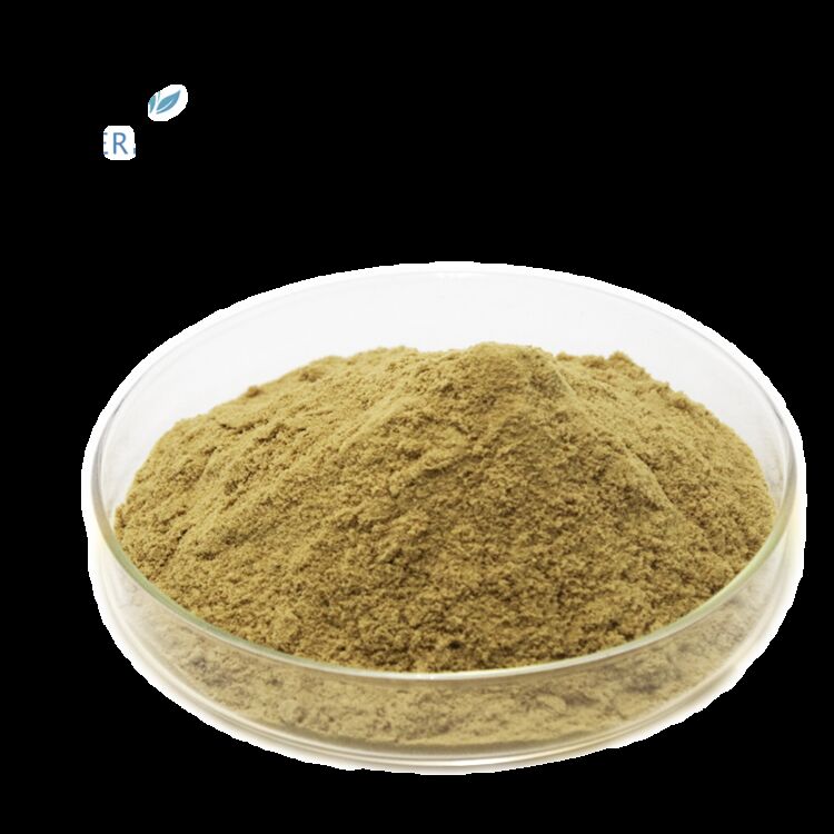 Produits naturels de qualité alimentaire pour la santé Produits d'usine 80% d'oléuropéine /5%~20% d'hydroxytyrosol Extrait de feuille d'olivier