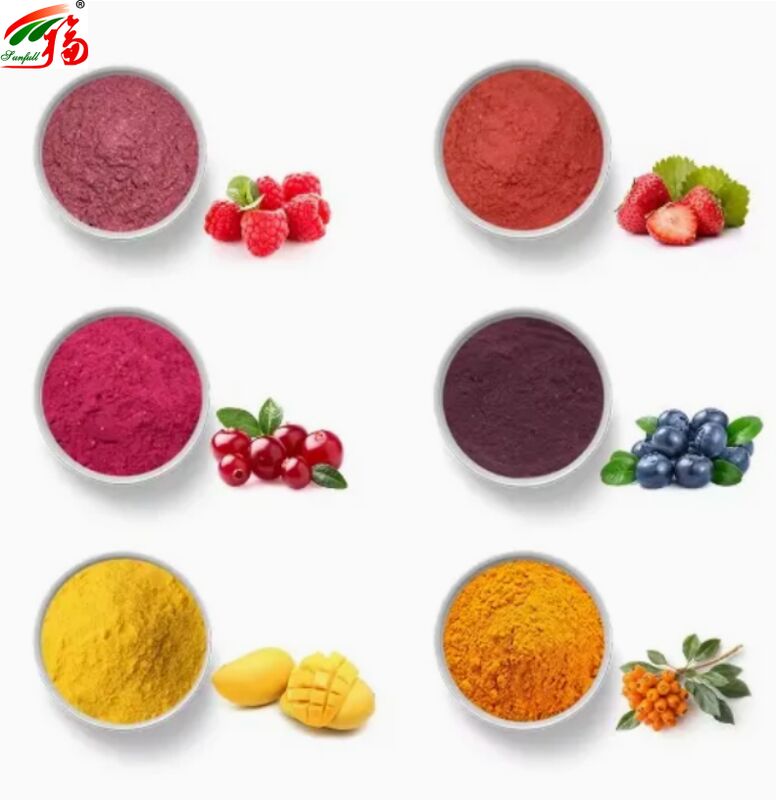 Fruits Ingrédients Santé Aliments de bonne qualité Bon goût et solubilité dans l'eau Boissons Poudre lyophilisée Poudre de fruits variée