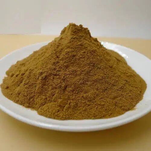 Extrait de racine de Ruscus Aculeatus de haute qualité à prix d'usine 10% à 20% Ruscogenine Extrait de balai de boucher