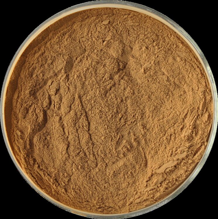 Promouvoir la santé des hommes Extrait de graines de fenugrec naturel de haute qualité Saponines 20% / Glycosides phényléthanoïdes 40% / Echinacoside 8% Extrait de cistanche