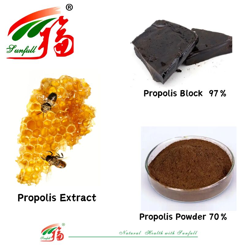 Suppléments alimentaires/médicaments riches en flavonoïdes 10% à 20% Propolis soluble dans l'eau Bloc 97% / Poudre de propolis 70% Extrait de propolis