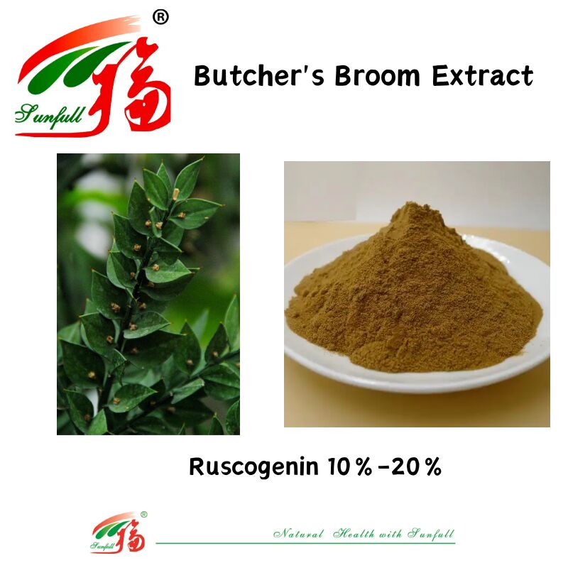 Extrait de racine de Ruscus Aculeatus de haute qualité à prix d'usine 10% à 20% Ruscogenine Extrait de balai de boucher