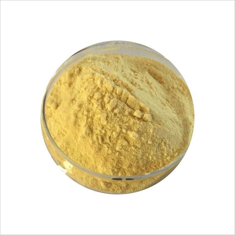 Hunan Sunfull Meilleur prix Suppléments nutritionnels ISO/Kosher Kavalactones 10%-30% Poudre d'extrait de kava pour supplément