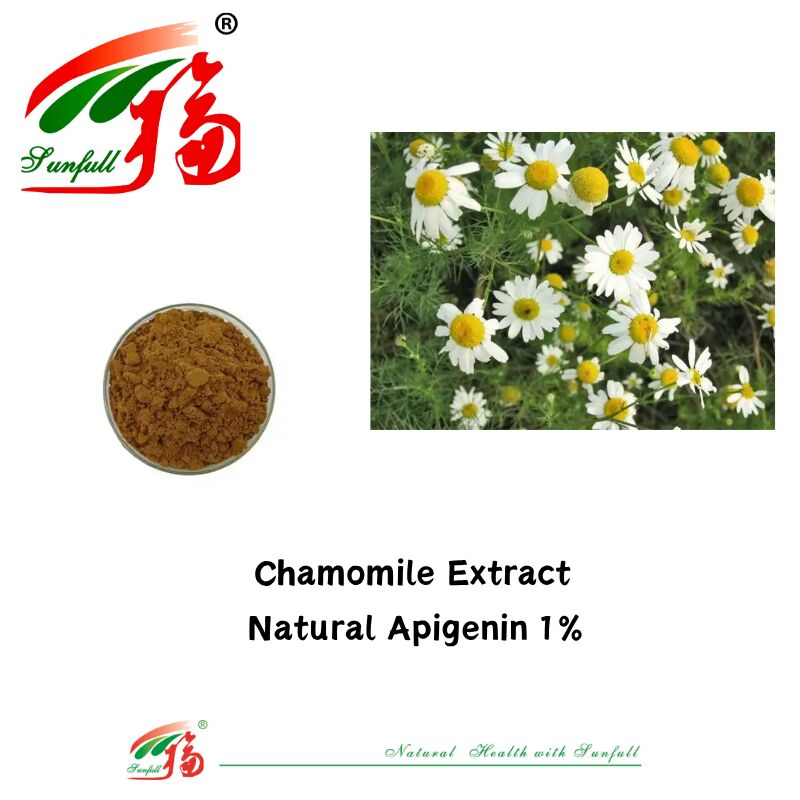 Extrait de graines de céleri 100% naturel 98% Apigénine en poudre CAS 520-36-5 Apigénine de haute qualité 1% Extrait de camomille