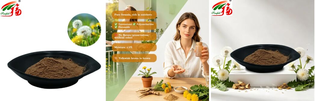 Produit alimentaire Pissenlit Herbe Extrait de feuilles de pissenlit Poudre Flavonoïdes naturels 5% à 10% Extrait de pissenlit organique