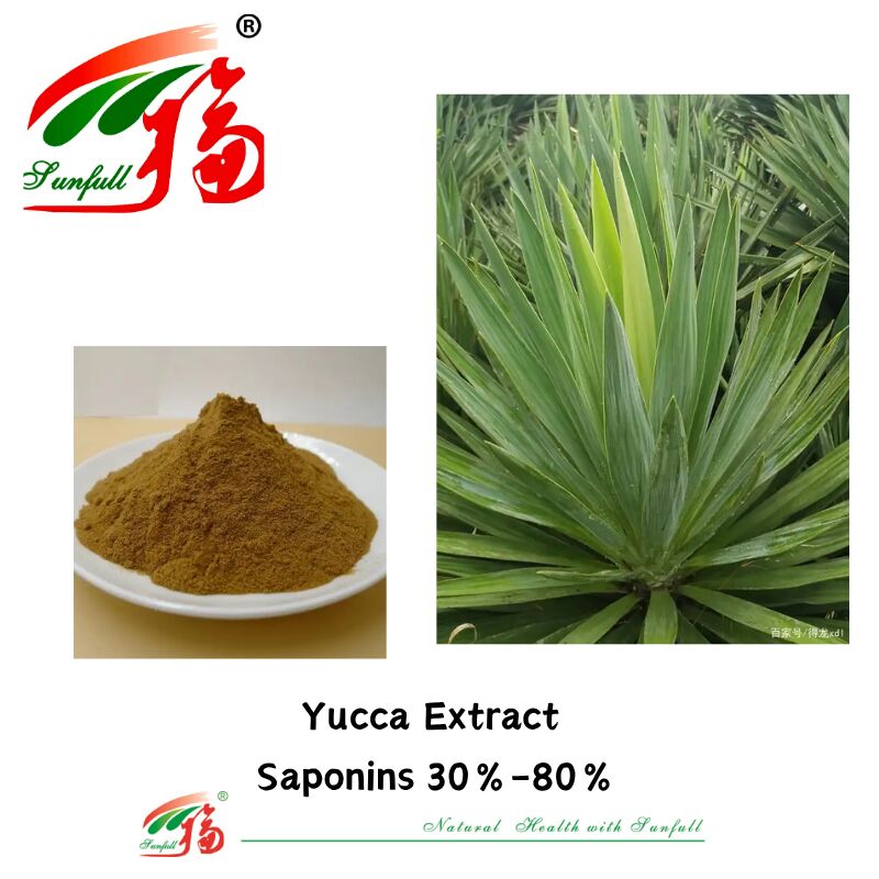 Le désodorisant ISO/casher favorise la santé intestinale, ingrédient alimentaire pour animaux domestiques, extrait de saponines de Yucca 10% à 80%