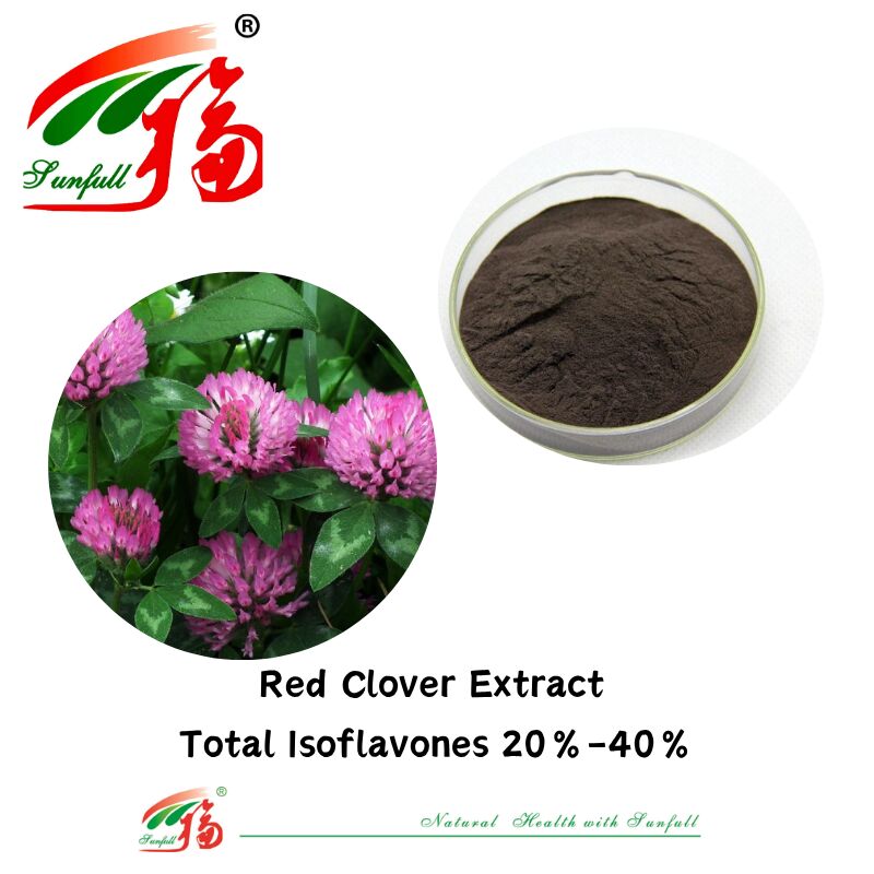 Hunan Sunfull pour l'équilibre et le soulagement hormonaux Suppléments de santé purement naturels Isoflavones totales biologiques 20 % à 40 % Extrait de trèfle rouge