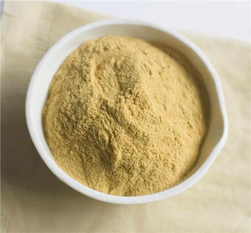 Fourniture d'usine Hémostase Suppléments alimentaires 10% 40% 80% Notoginsénosides Panax Extrait de racine de Notoginseng