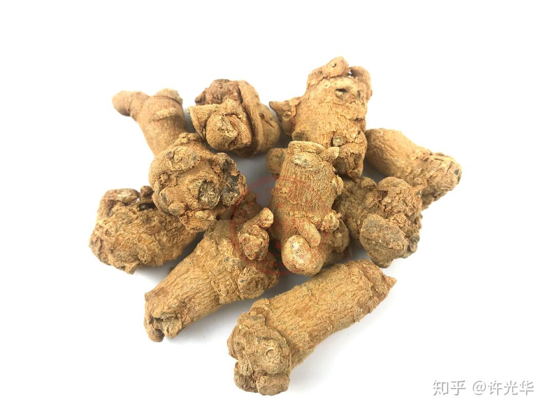 Fourniture d'usine Hémostase Suppléments alimentaires 10% 40% 80% Notoginsénosides Panax Extrait de racine de Notoginseng