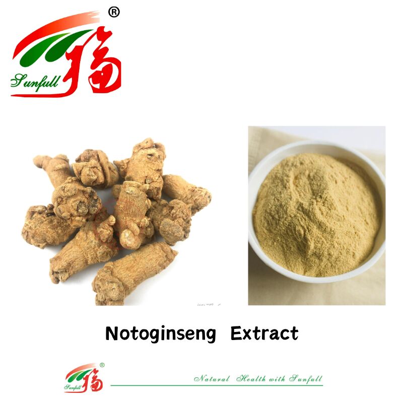 Fourniture d'usine Hémostase Suppléments alimentaires 10% 40% 80% Notoginsénosides Panax Extrait de racine de Notoginseng