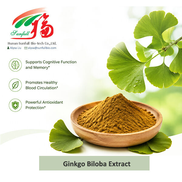 Extrait naturel de Ginkgo Biloba Cp/ USP/ Ep/ Soluble dans l' eau