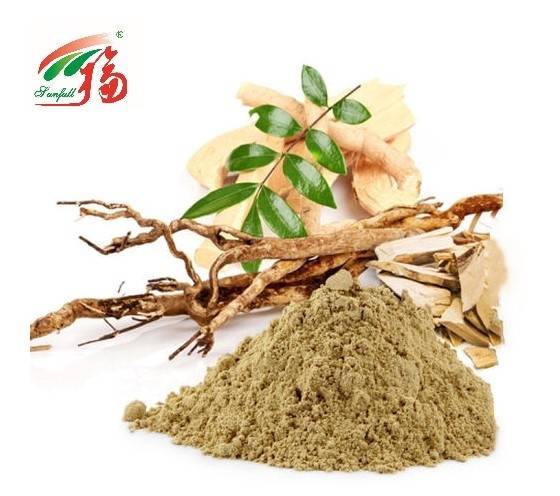 Extrait de 10:1 d'Eurycomanone Eurycoma longifolia Root Powder pour l'appareil reproducteur