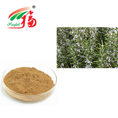 Rosemary Extract 30% Rosmarinic acide pour le Rosmarinus anti-vieillissement Officinalis