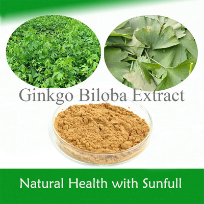 Ginkgo Biloba PE 24% Flavones totaux 6% Lactones terpènes 5 ppm pour la santé du cœur