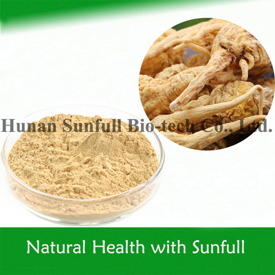 Pour hommes Santé végétale Aliments Extrait de maca pour l'alimentation (Lepidium meyenii Walp)