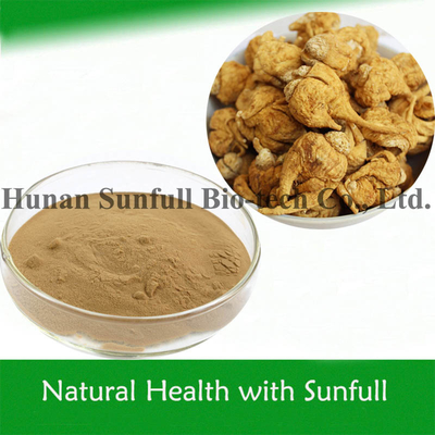 Extrait de racine de maca en poudre jaune brune fine provenant de Lepidium Meyenii Walp Botanical Resource