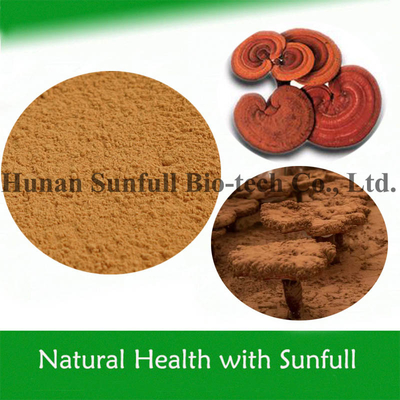 Produits de santé de haute qualité Extrait de Ganoderma Lucidum Poudre de Reishi