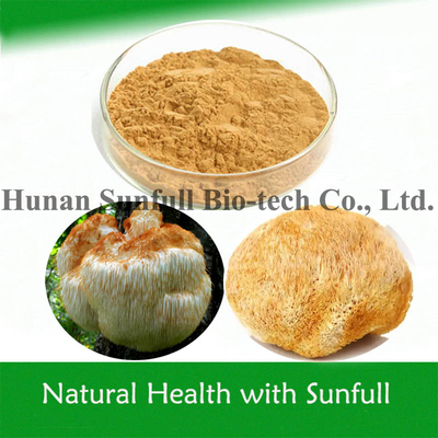 Extrait de crinière de lion en poudre de Hericium erinaceus biologique pour les aliments sains