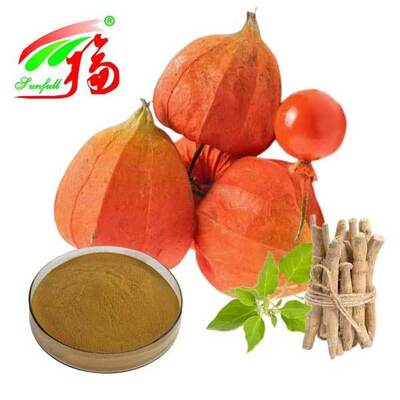 Withania Somnifera Afrique du Sud Withanolides 5% Extrait de racine d'ashwagandha Produits alimentaires pour la santé