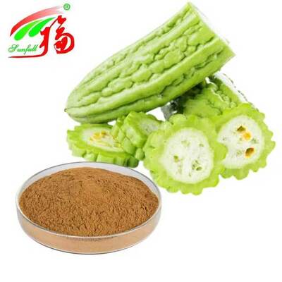 Extrait de melon amer Poudre de citrouille amère Momordica Charantia Produit de soins de santé Médecine