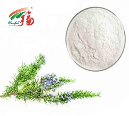 poudre/Rosemary Antioxidant Extract For Pharmaceutical acides de 90% - de 98% Rosmarinic