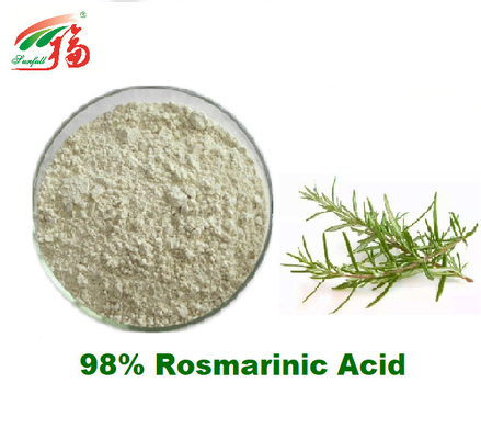 98% Rosmarinic Rosemary Extract Supplement For Antioxidant naturelle acide